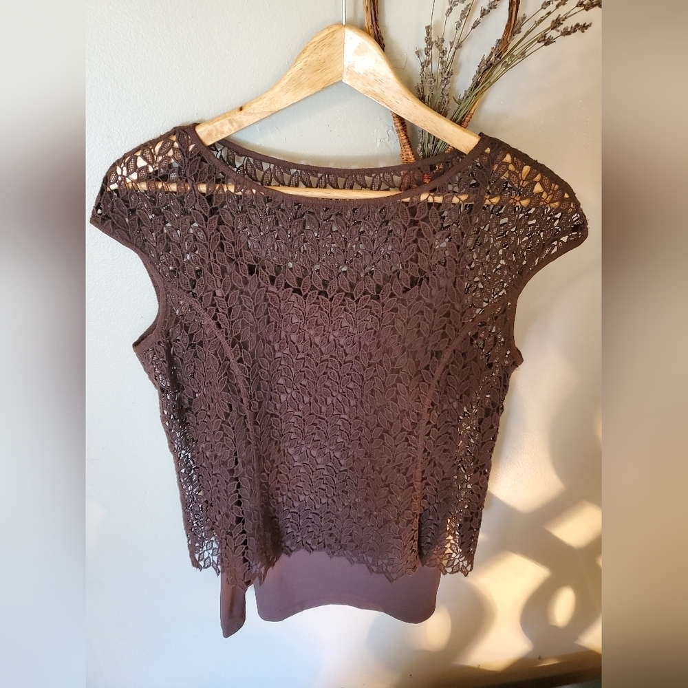 Brown Lace Top With Camisole
